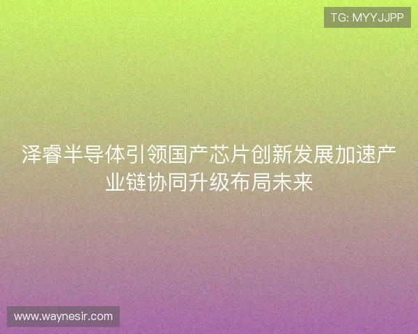 泽睿半导体引领国产芯片创新发展加速产业链协同升级布局未来